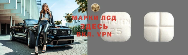 стафф Баксан