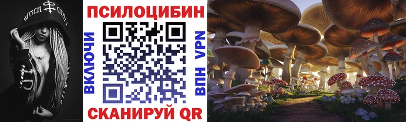 Псилоцибиновые грибы Magic Shrooms Балтийск