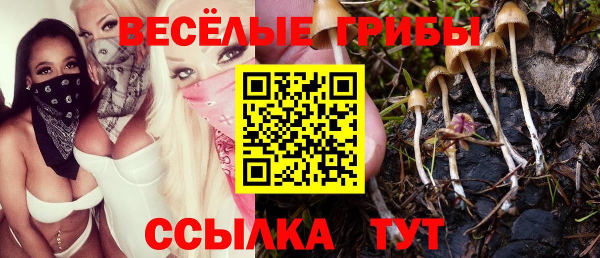 Галлюциногенные грибы ЛСД Балтийск