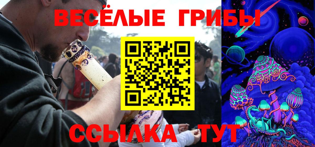 Балтийск  Галлюциногенные грибы Psilocybine cubensis  Вход с VPN 