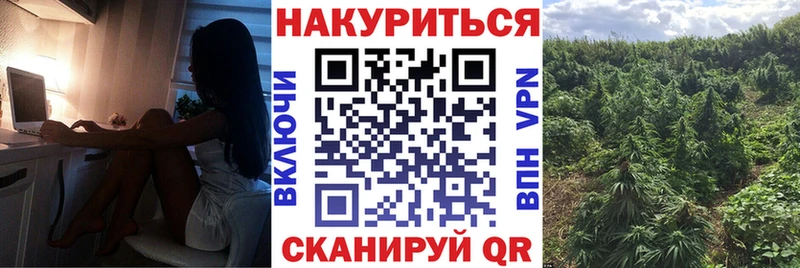 Марихуана план Балтийск